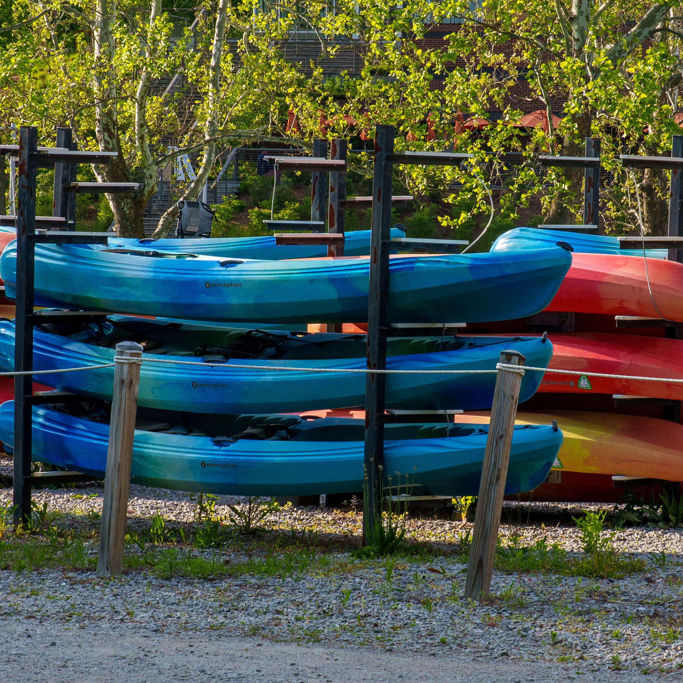 Mason Neck kayaks